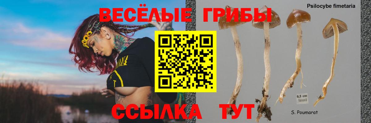 Всеволожск  Галлюциногенные грибы Cubensis  Галлюциногенные грибы Magic Shrooms  Вход с VPN 